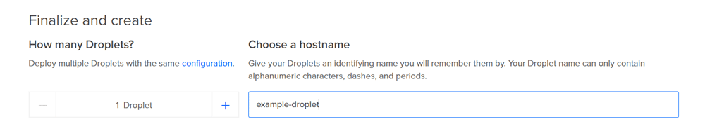 Droplet hostname text box